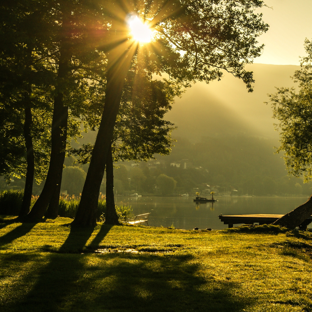 Sunlight filters through trees beside a serene lake at dawn, casting long shadows.