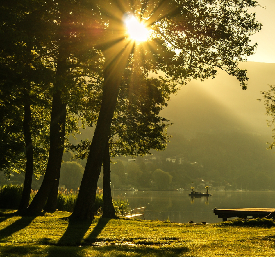 New dawn Sunlight filters through trees beside a serene lake at dawn, casting long shadows.